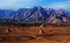 《从修剪工到群众演员》做者陈朴换了14